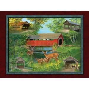   Cameos 500pc Jigsaw Puzzle by Persis Clayton Weirs Toys & Games