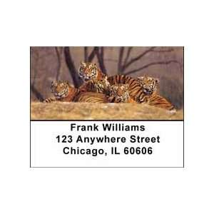  Bengal Tigers Address Labels