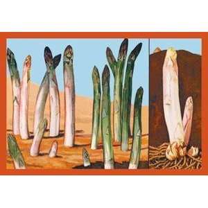  Vintage Art White and Green Asparagus   08378 6