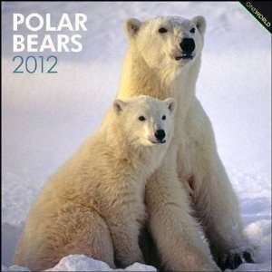  Polar Bears 2012 Wall Calendar 12 X 12