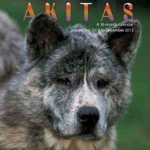  Akita 2013 Wall Calendar