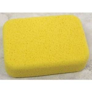  Nattco DS 4004 Hydrophilic Sponge Size Medium Baby