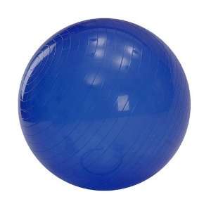  55 cm Vinyl/PVC Balance Stability Ball for Yoga, Strength 