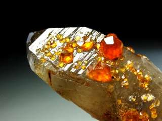 Gem Perfect Red Orange Spessartine Garnet Crystals on Smoky Quartz #1 