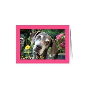  48th Birthday card, German Shorthaired Pointer Card Toys 