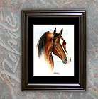 KHEMOSABI   famous ARABIAN HORSE stallion FRAMED ART si