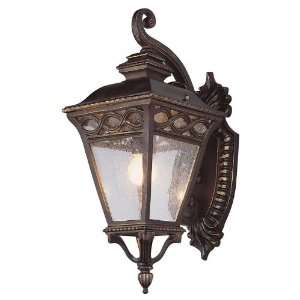  Trans Globe 50511 BRB Outdoor Sconce