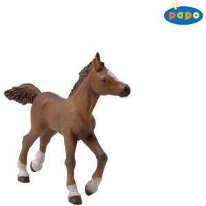  Papo 51076 Anglo Arab Foal Toys & Games