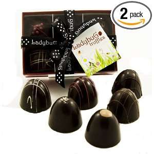 Xan Confections All Natural Ladybug Truffles, 6 Piece All Dark Winter 