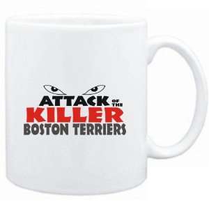   White  ATTACK OF THE KILLER Boston Terriers  Dogs