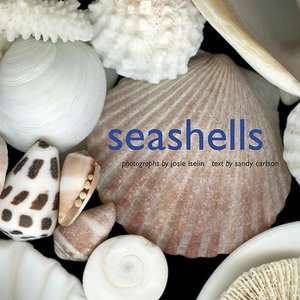   Seashells Jewels from the Ocean by Budd Titlow, MBI 