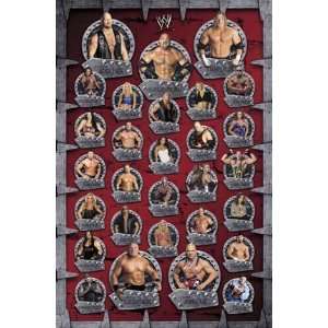  WWE WRESTLING POSTER 22 X 34 STARS OF