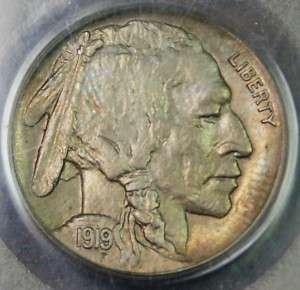 1919 D Buffalo Nickel Coin, PCGS MS 64  