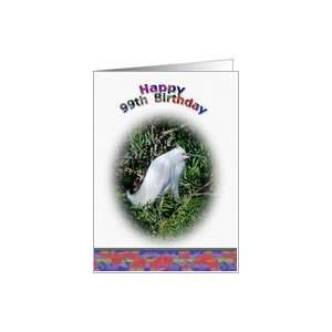  99th Birthday Card with Snowy Egret in Water Card Toys 
