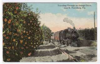 Railroad Train Orange Grove St Petersburg FL postcard  