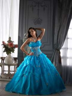 Layered Embroidery Organza Ball Gowns Quinceanera/Wedding/Prom dresses 