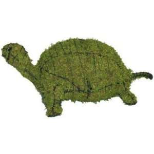  Turtle 12 Mossed Topiary Frame