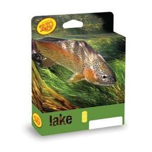  Rio Deep 4 DC Type 4 Full Sink Fly Line Sports 