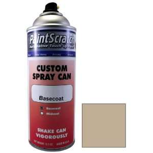   Paint for 2012 Winnebago All Models (color code F4574) and Clearcoat