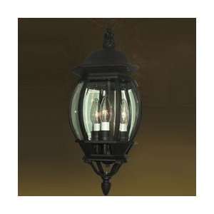   Powder Coat Black Valley Outdoor Pendant from the Valley Collection