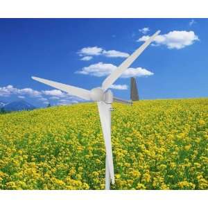   750W 750 Watt Residential Wind Generator 