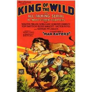  of the Wild Movie Poster (11 x 17 Inches   28cm x 44cm) (1931) Style 