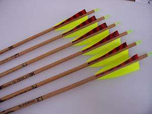   Gold Tip Traditional Arrows w/Red Barred & Lime Feathers (3555)  