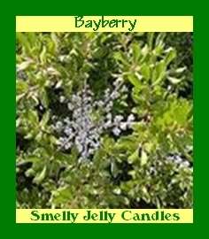 Bayberry 8 oz. Jar   Smelly Jelly Candles (SOY)  
