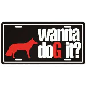   White German Shepherd Dog / Wanna Dog It ?  License Plate Dog Home