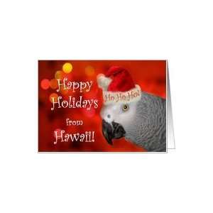   Holidays Card from Hawaii, African Grey Parrot with Santa Hat Card