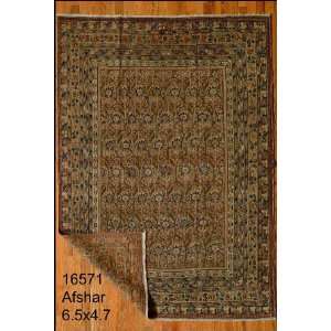    4x6 Hand Knotted Afshar Persian Rug   47x65