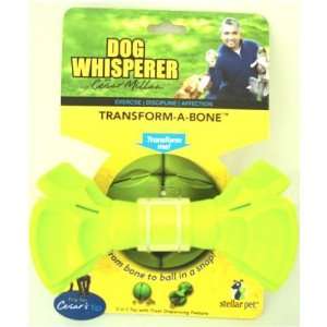  R2p Pet 069395 Transform a Bone Dog Toy Assorted Pet 