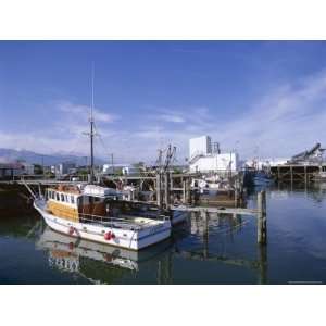  Fishing Boats in Harbour, Westport, Westland, South Island 