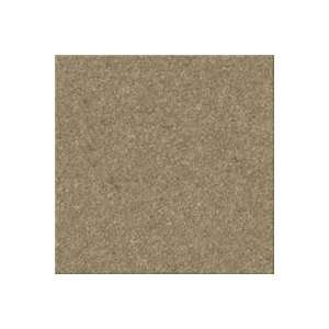   Horizon Silver Medallion Azteca Carpet Flooring