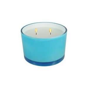 Sonoma Unscented Candle in Sea Salt Air Glass Container 