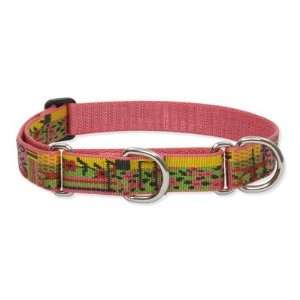 Lupine WLF84555/56 Flower Patch 1 Adjustable Large Dog Combo Collar 