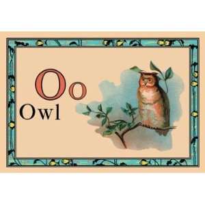  Exclusive By Buyenlarge Owl 20x30 poster