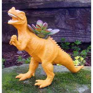  Otto the Oviraptor Dinosaur Planter + Live Plant   Easy To 