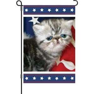  Premier Designs 12 In Flag   Patriotic Kitty Toys & Games