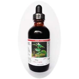  Bala (Sida Cordifolia) Liquid Extract 4 Oz (120ml) Health 