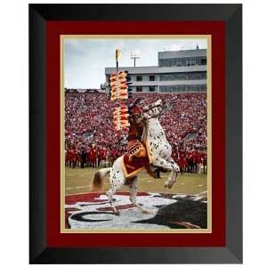  NCAA Florida State Seminoles (FSU) 9 x 12 Mascot Framed 