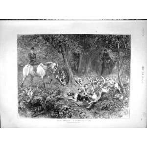   1897 Woodland Scene Horses Hunting Fox Hounds Huntsmen