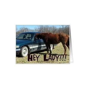  Hey Lady Funny Horse with Car Hi/Hello Card Health 