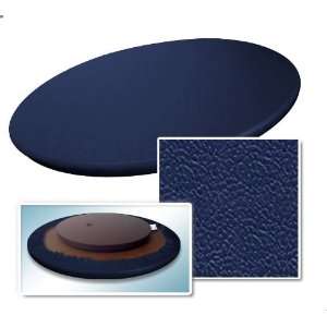 Allsport Electric Blue Custom Dark Blue Vinyl Upholstery 