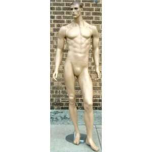  Male Fiber Glass Muscular Joe Mannequin Arts, Crafts 