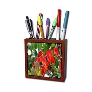   Transition Green Red 2   Tile Pen Holders 5 inch tile pen holder