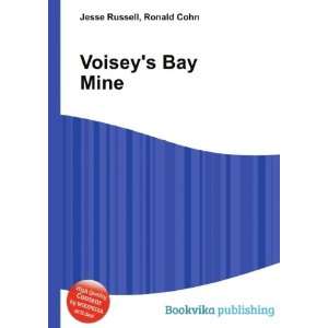  Voiseys Bay Mine Ronald Cohn Jesse Russell Books