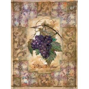  Shari White Vitis Vinifera Grape 6x8 Poster Print