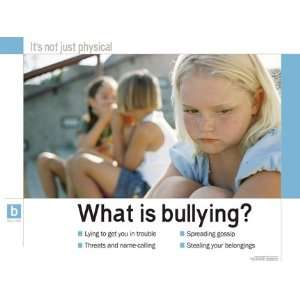  What is Bullying? School Poster