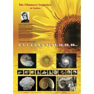 American Educational JPT 13873 Fibonacci Sequence Poster  
